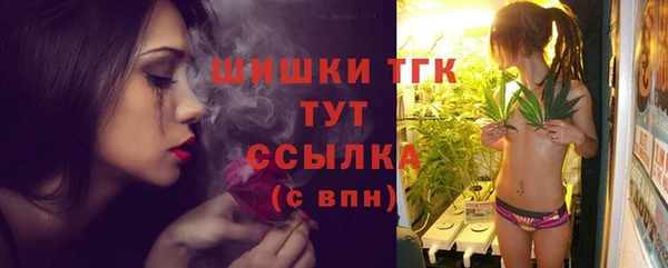амф Елизово