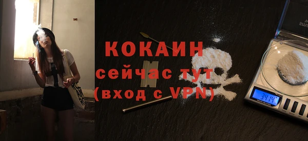 дмт Дмитровск