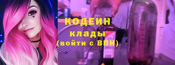 амф Елизово