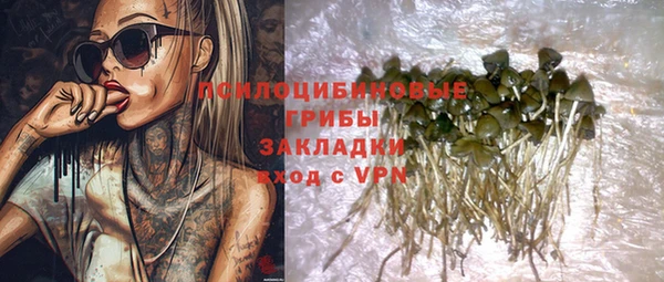 гидра Дмитров