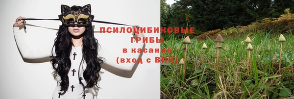 амф Елизово