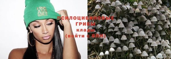амф Елизово
