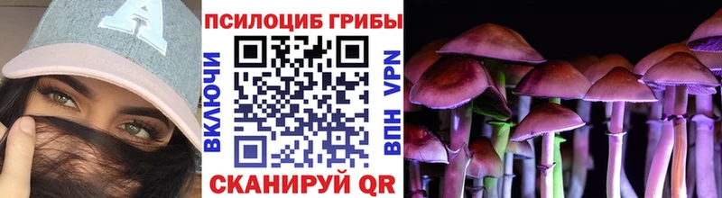 Псилоцибиновые грибы Cubensis Полтавская