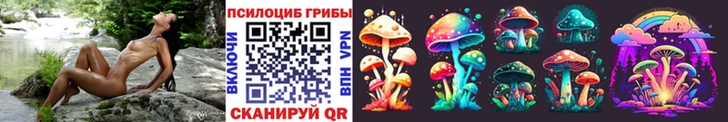 Псилоцибиновые грибы Cubensis  закладка  Полтавская 